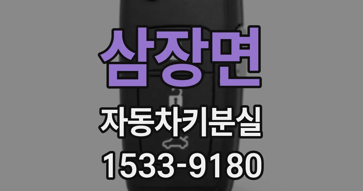 삼장면 자동차키분실