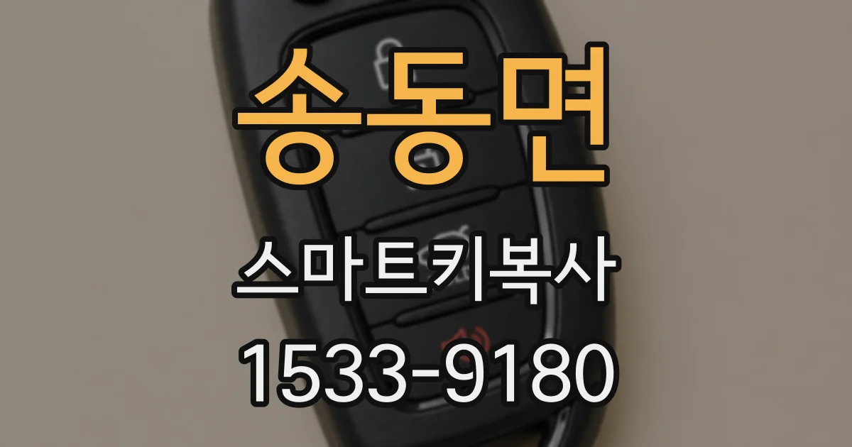 송동면 스마트키복사
