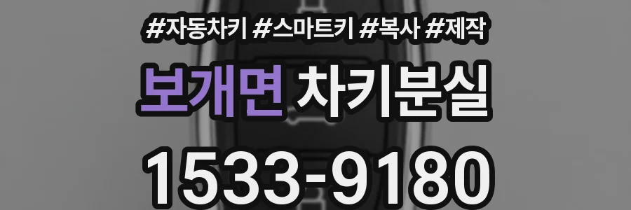 보개면 차키분실