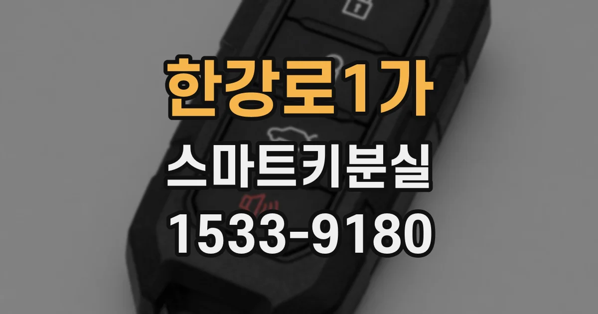 한강로1가 스마트키분실