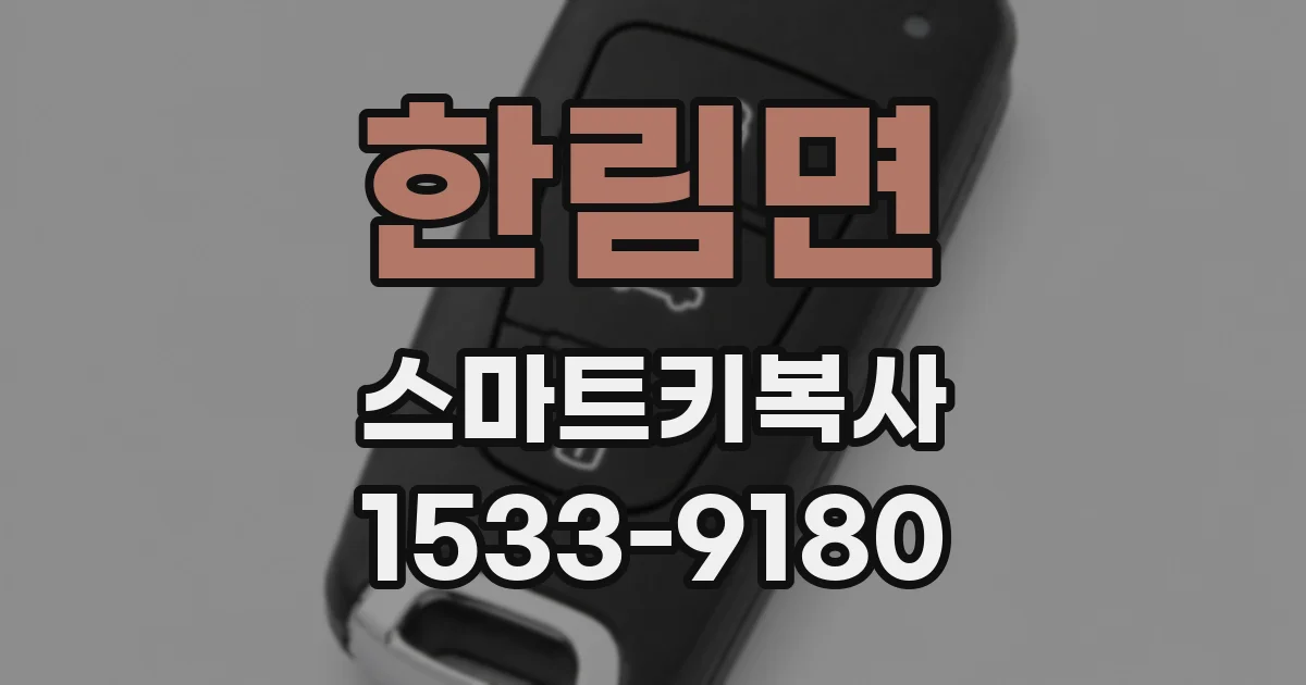 한림면 스마트키복사