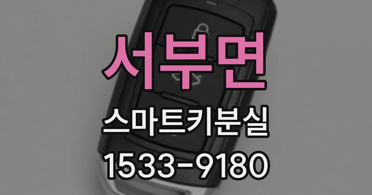 서부면 스마트키분실