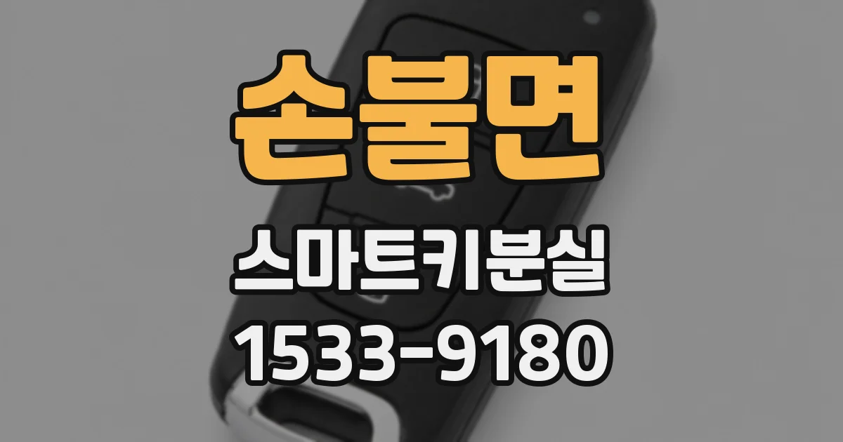 손불면 스마트키분실