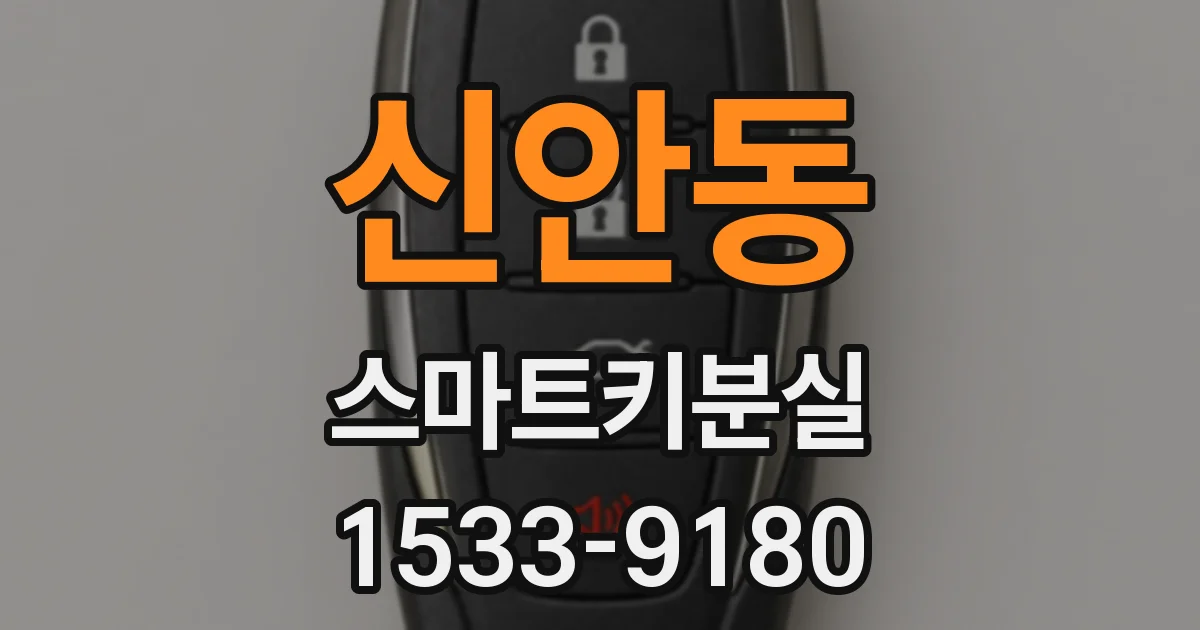 신안동 스마트키분실