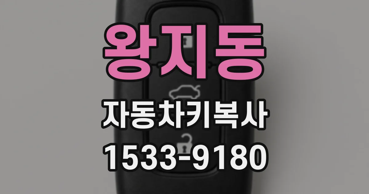 왕지동 자동차키복사