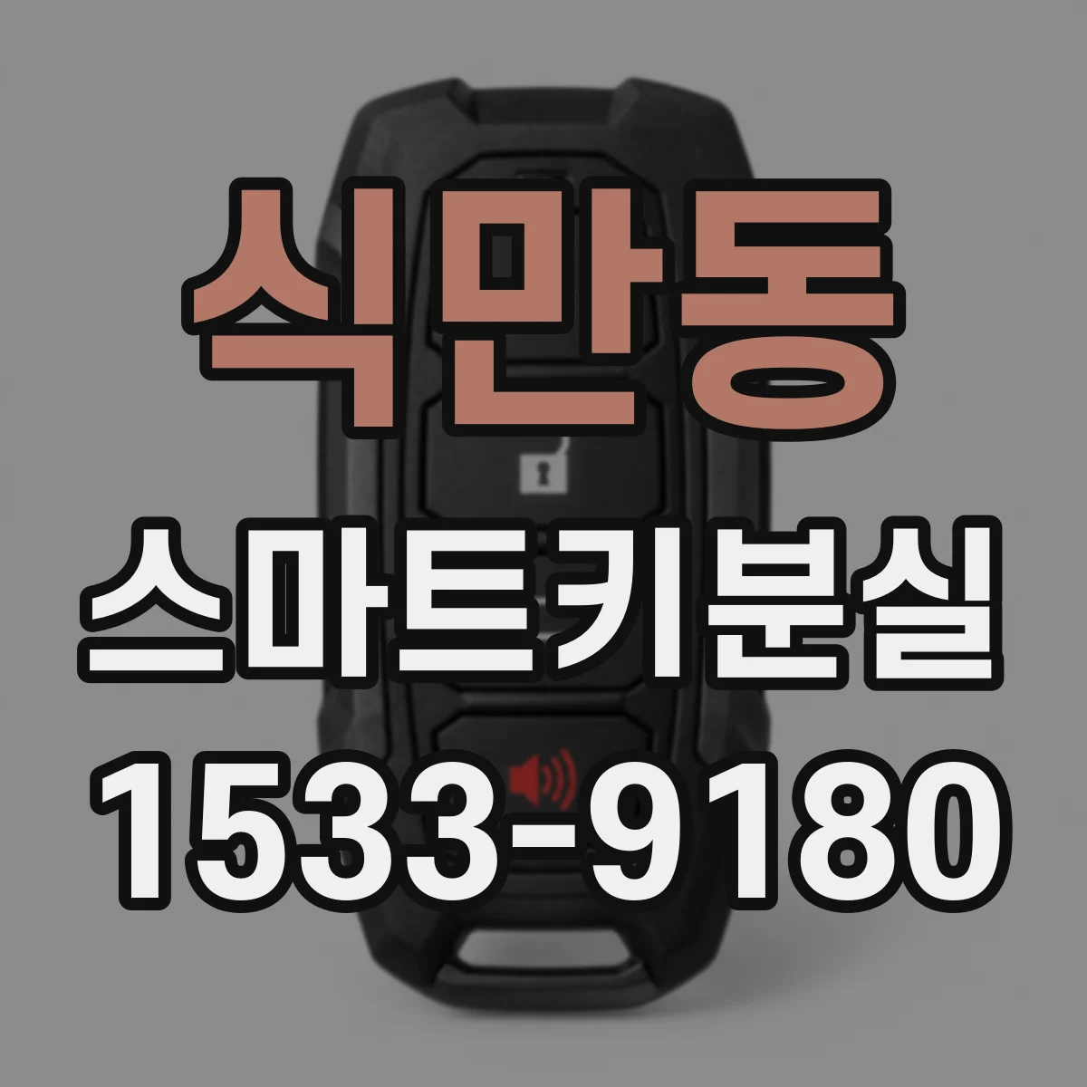 식만동 스마트키분실