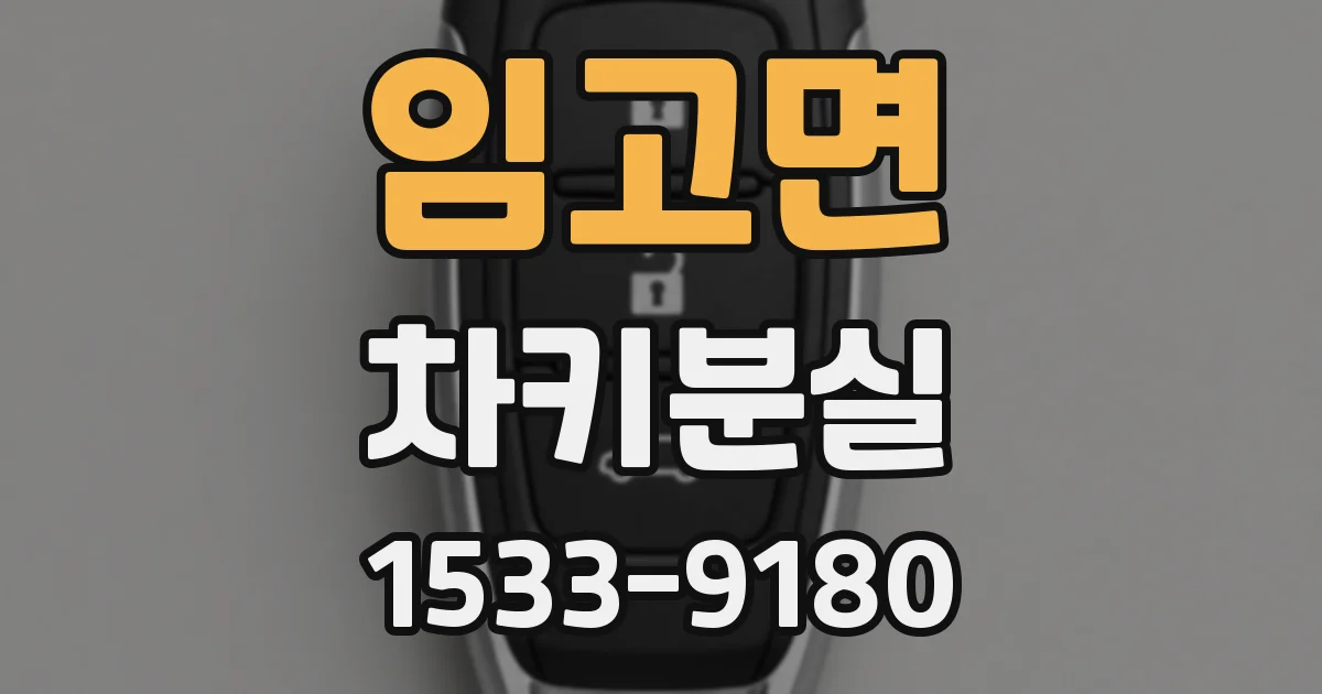 임고면 차키분실