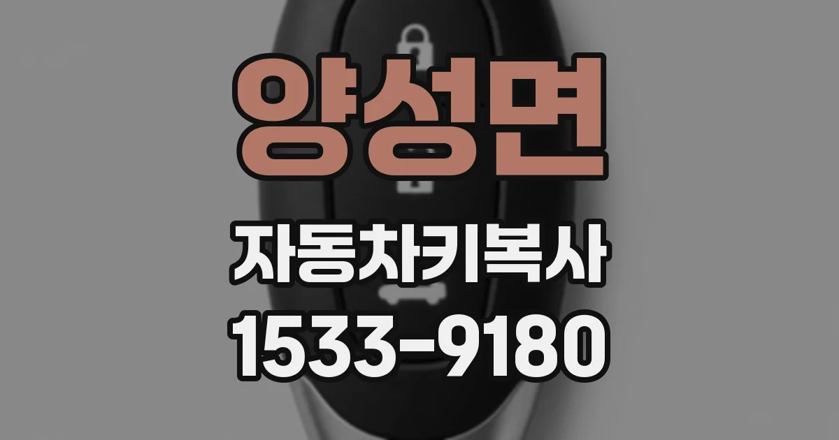 양성면 자동차키복사
