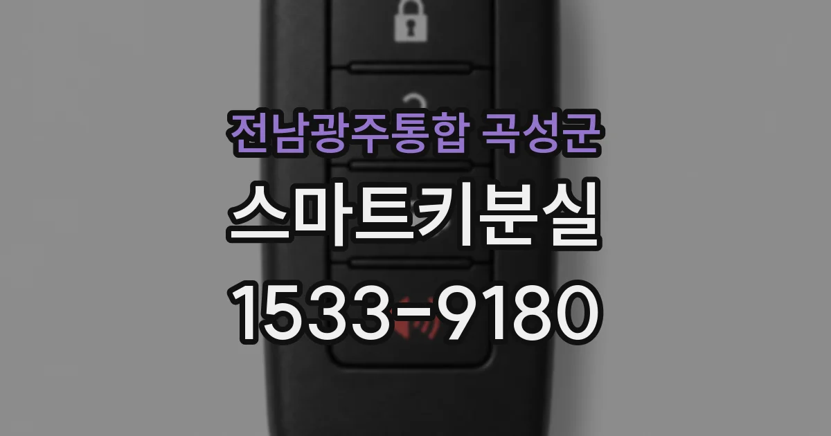 전남광주통합 곡성군 스마트키분실