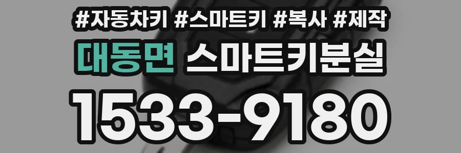 대동면 스마트키분실