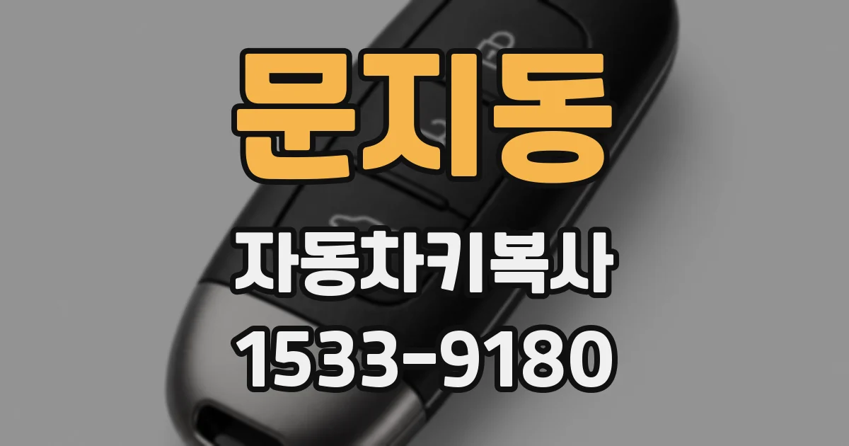 문지동 자동차키복사