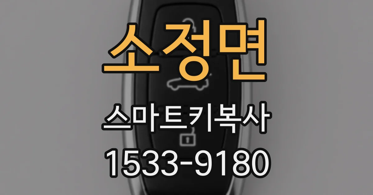 소정면 스마트키복사