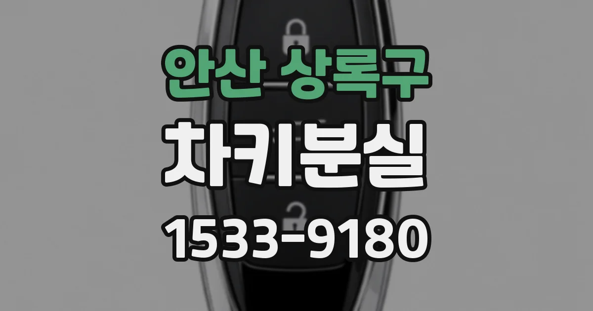 안산 상록구 차키분실