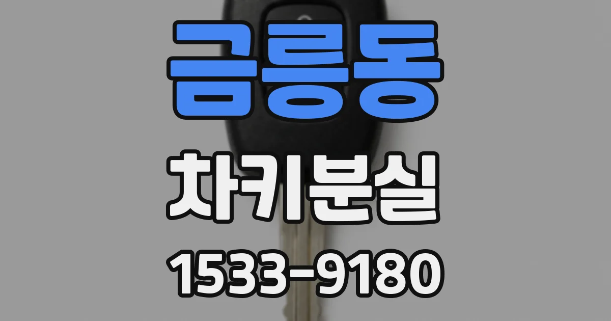 금릉동 차키분실