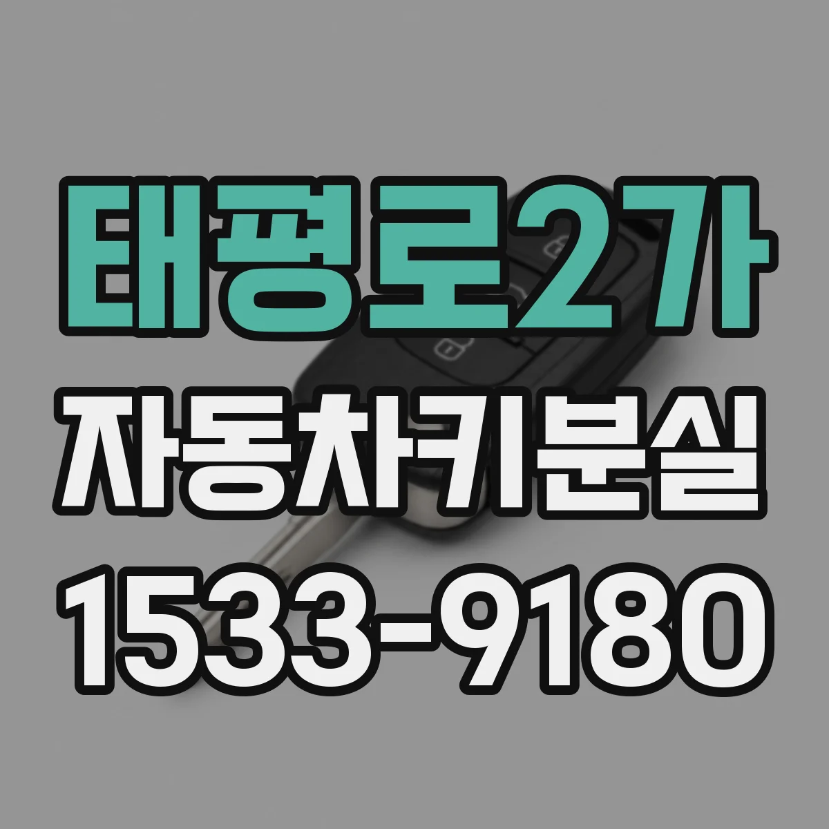 태평로2가 자동차키분실