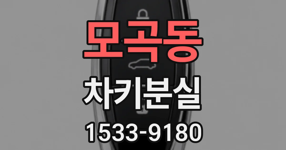 모곡동 차키분실