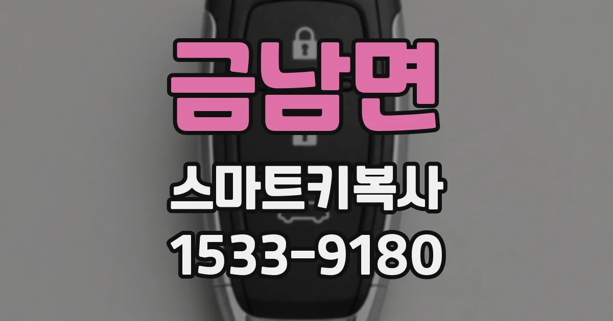 금남면 스마트키복사
