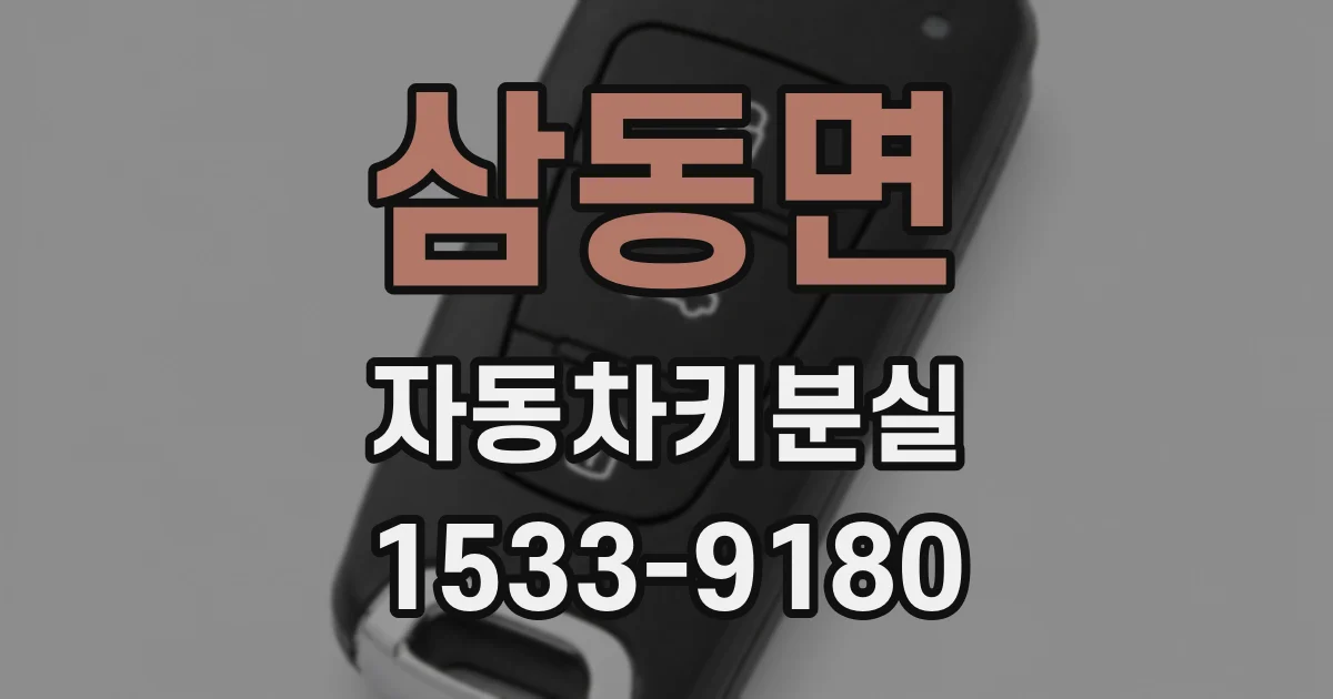 삼동면 자동차키분실