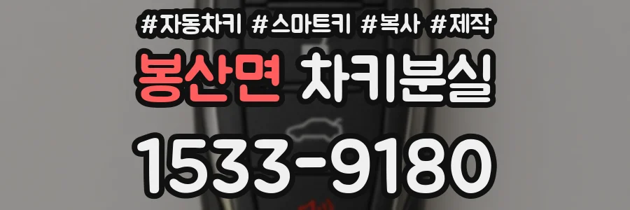 봉산면 차키분실