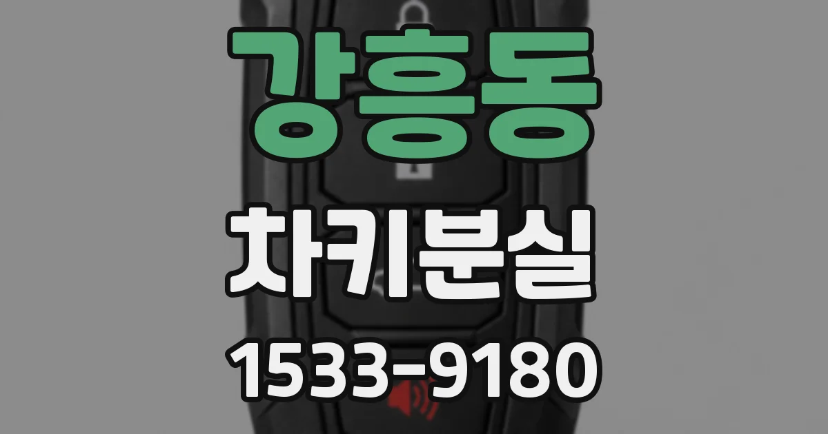 강흥동 차키분실
