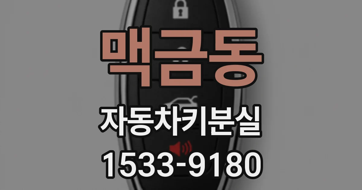 맥금동 자동차키분실