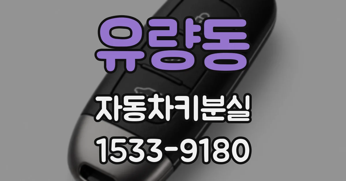 유량동 자동차키분실