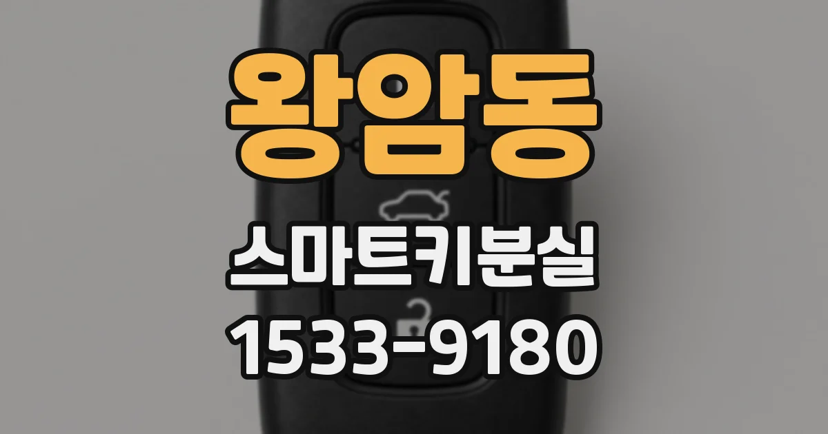 왕암동 스마트키분실