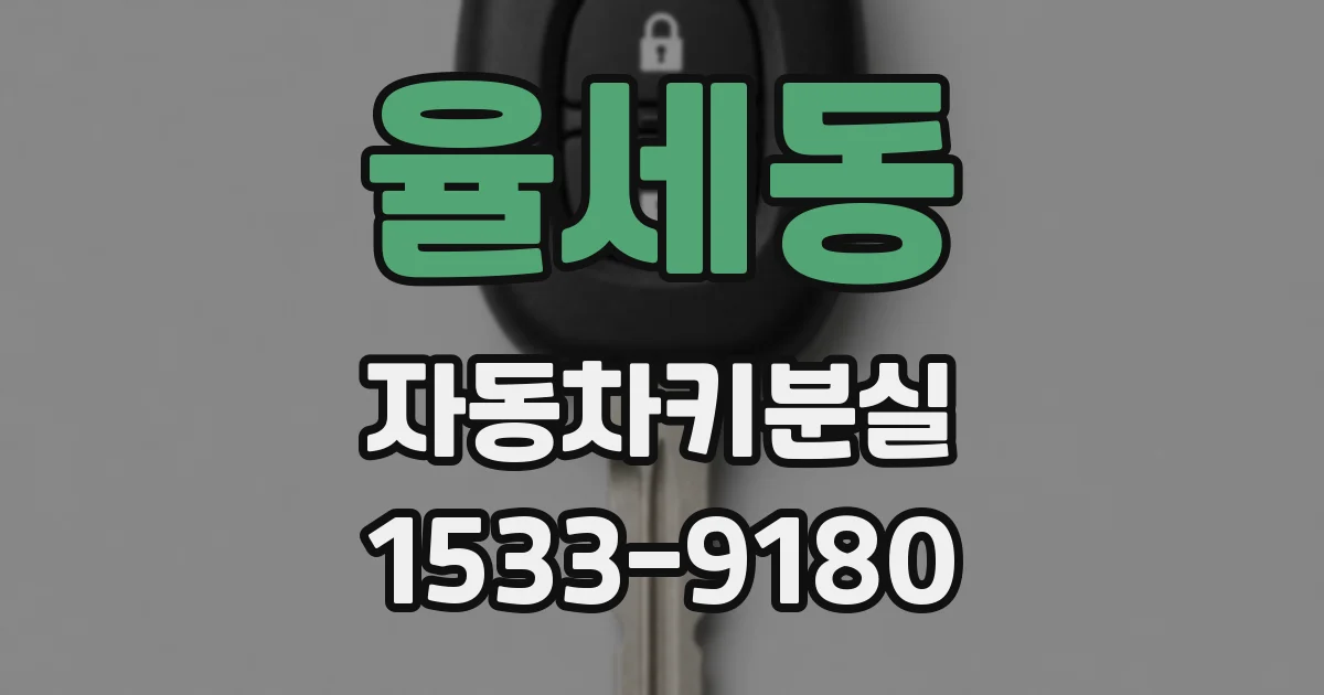 율세동 자동차키분실
