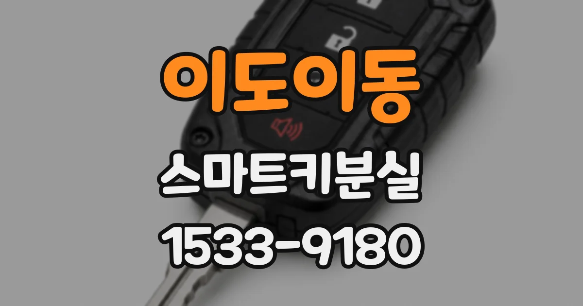 이도이동 스마트키분실