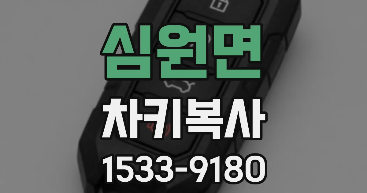 심원면 차키복사