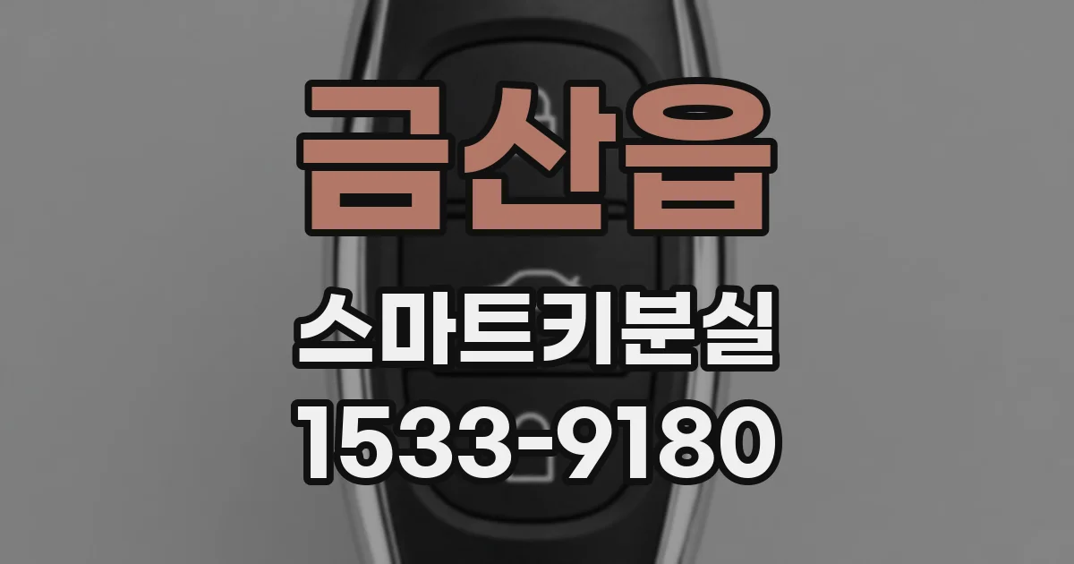 금산읍 스마트키분실