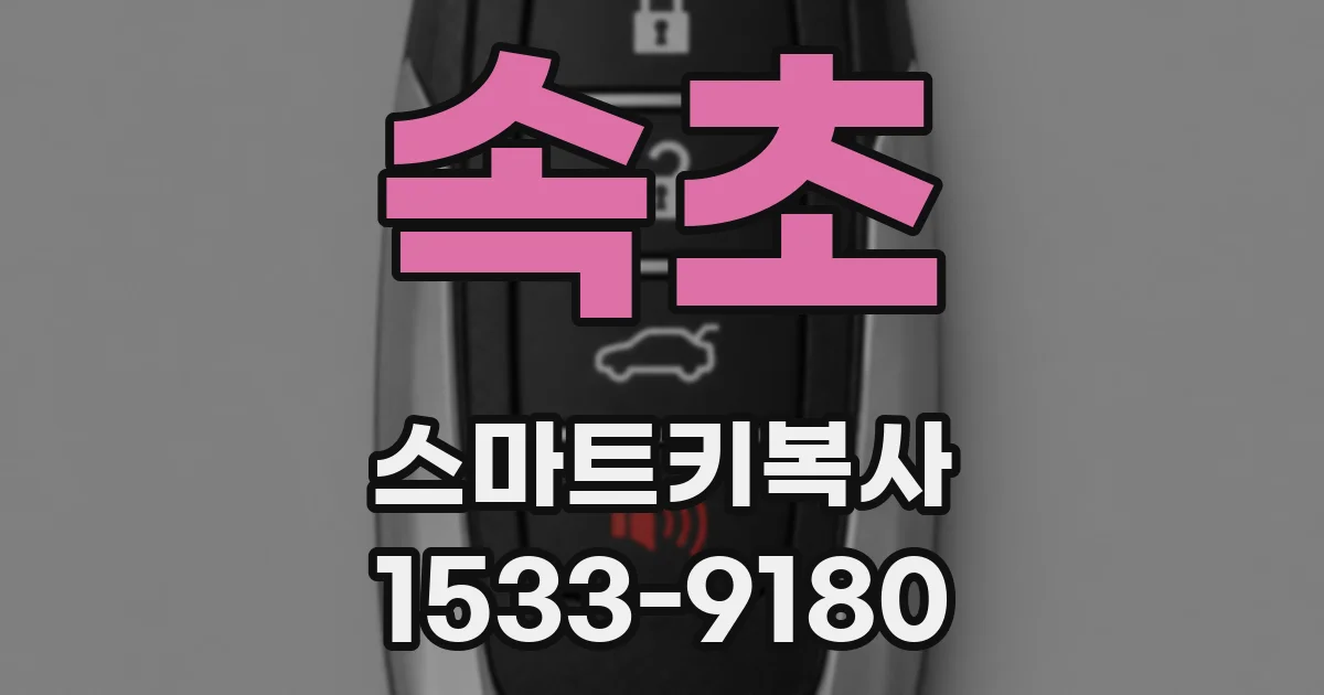 속초 스마트키복사