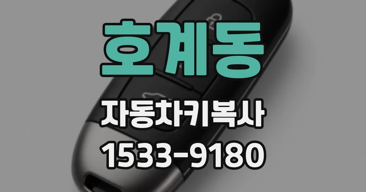 호계동 자동차키복사