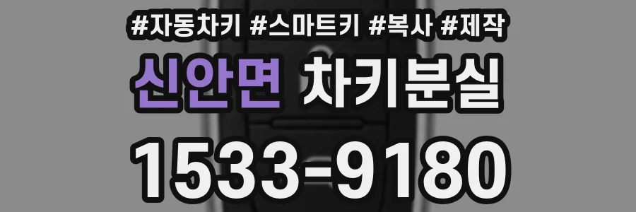 신안면 차키분실