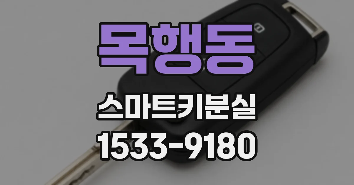 목행동 스마트키분실