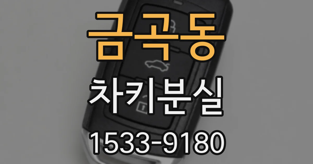 금곡동 차키분실