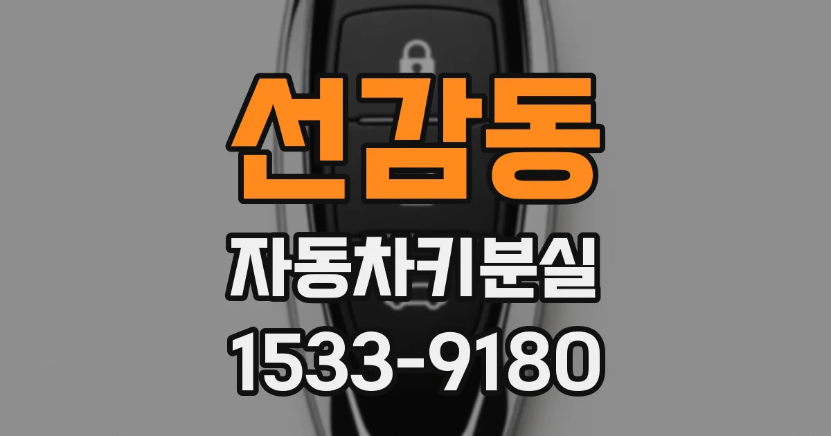 선감동 자동차키분실