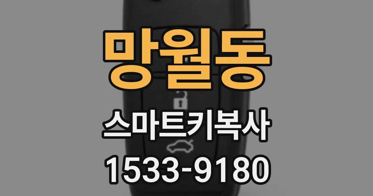 망월동 스마트키복사