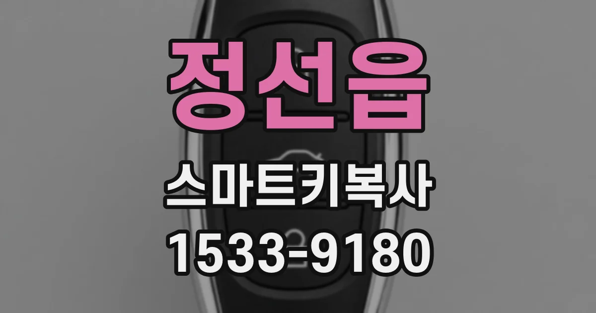 정선읍 스마트키복사