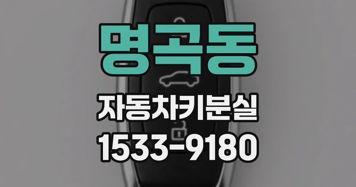 명곡동 자동차키분실