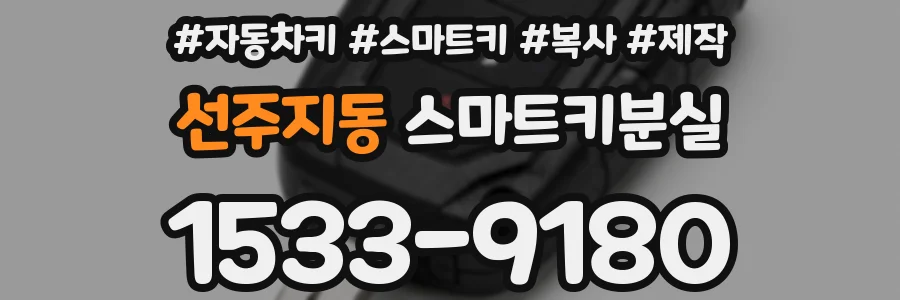 선주지동 스마트키분실
