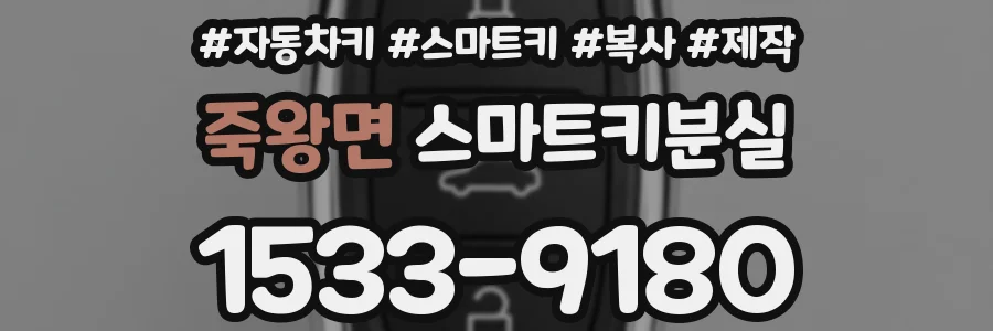 죽왕면 스마트키분실
