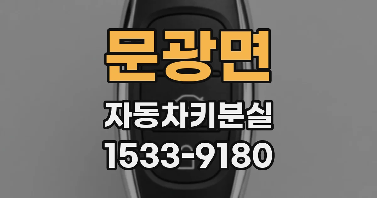 문광면 자동차키분실