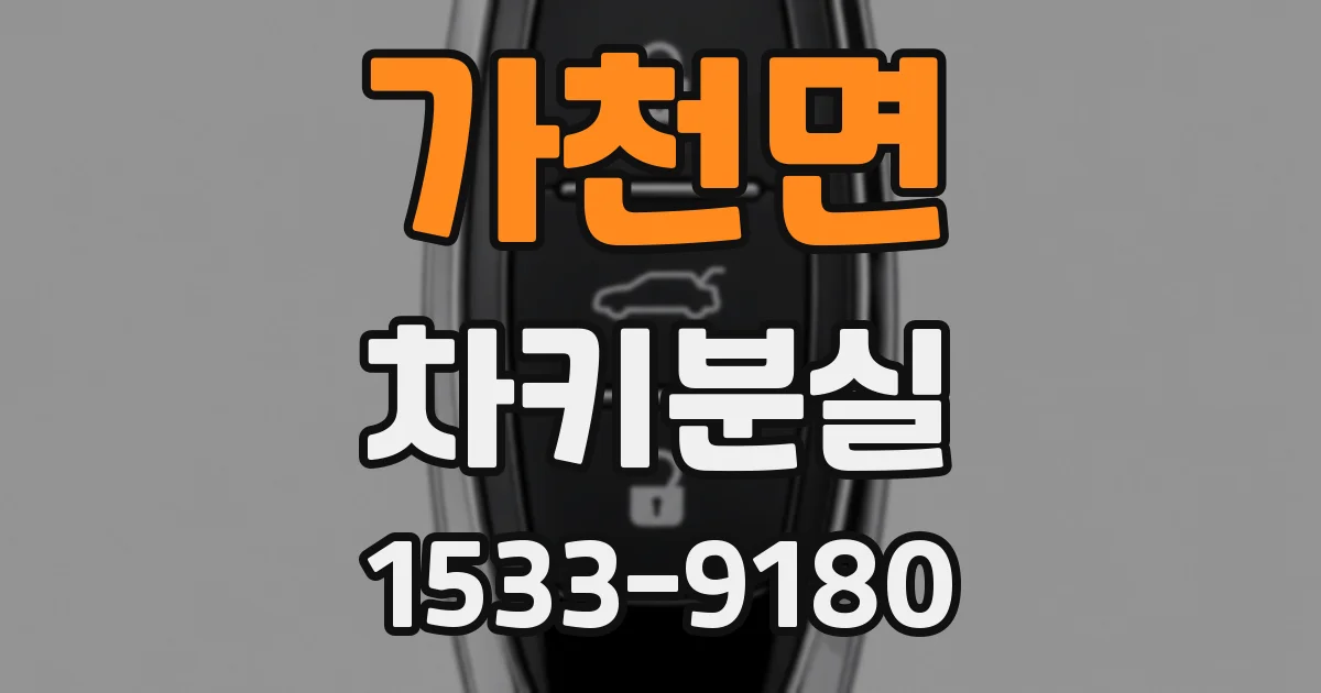 가천면 차키분실