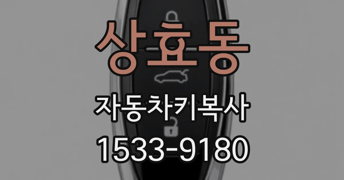 상효동 자동차키복사