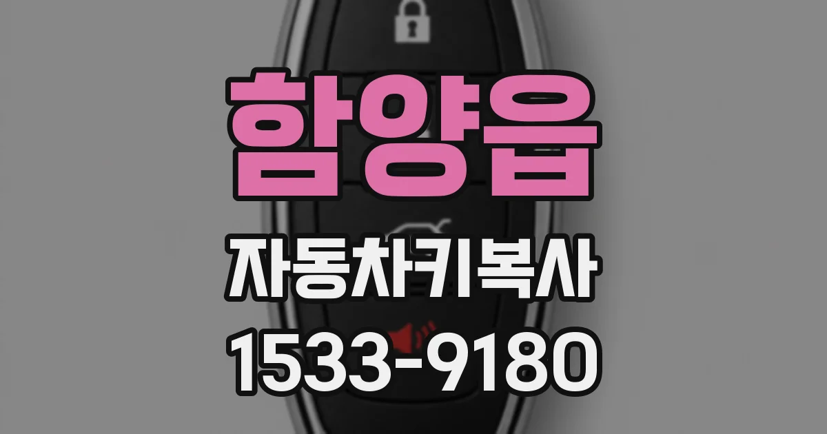 함양읍 자동차키복사