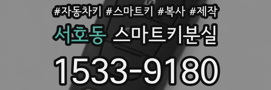 서호동 스마트키분실