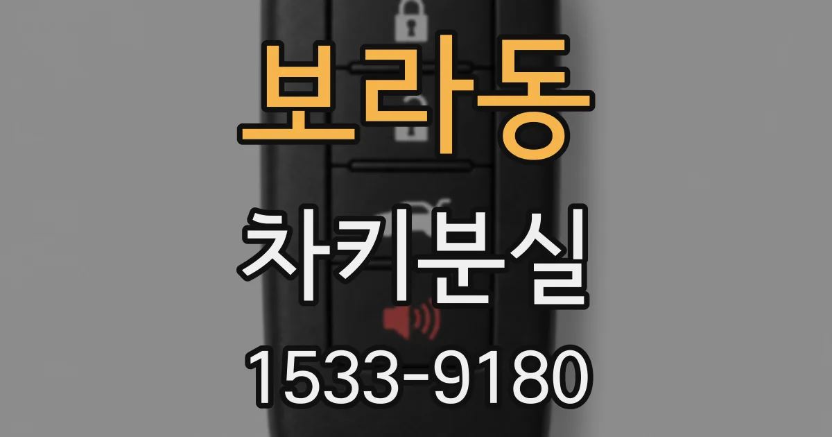 보라동 차키분실