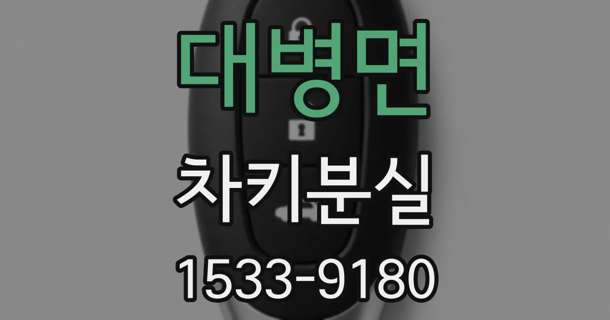 대병면 차키분실