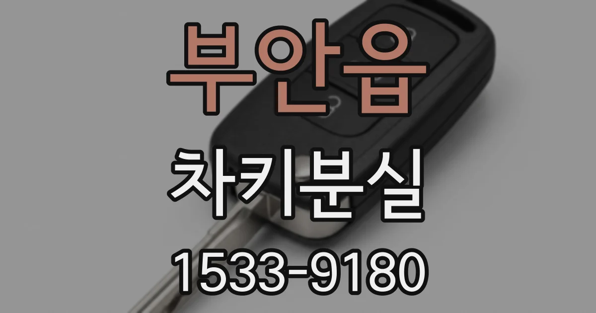 부안읍 차키분실